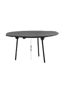 פלנצ׳ה למדורה